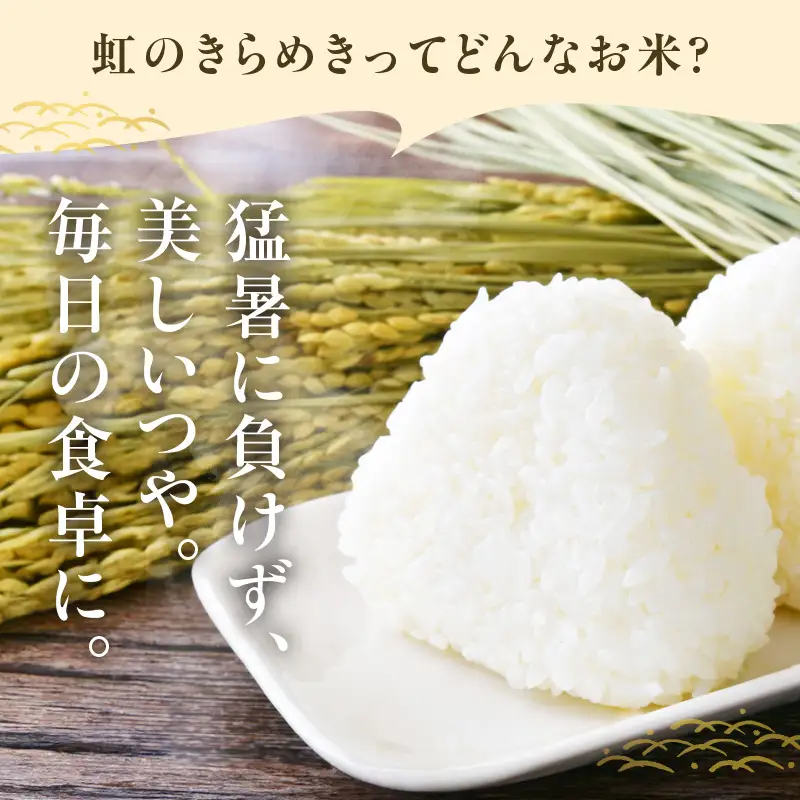 【令和8年度産】東浦町産 にじのきらめき 5kg｜米