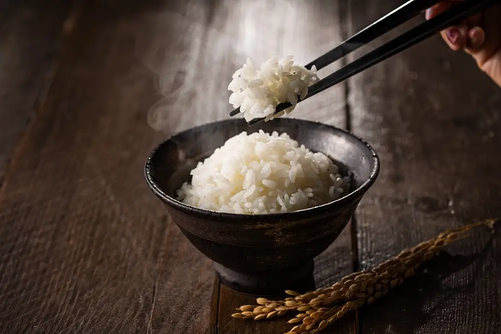 令和8年産 JAたじま厳選！ 兵庫県但馬産こしひかり 5kg（5kg×1袋）AS50CA36-1　