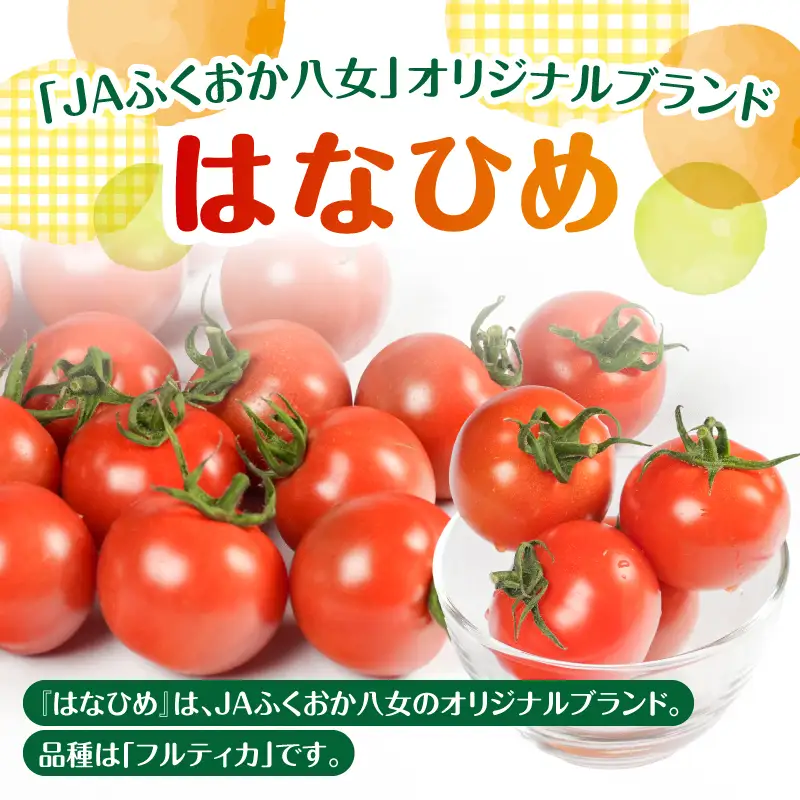 【先行予約】ミディトマト はなひめ 3kg 【JAふくおか八女】【2026年12月発送開始】 フルティカ はなひめ JAふくおか八女 皮やわらかい 食べやすい 大玉トマト 高満足度 リコピン ヘルシー 人気 ブランドトマト 002-025