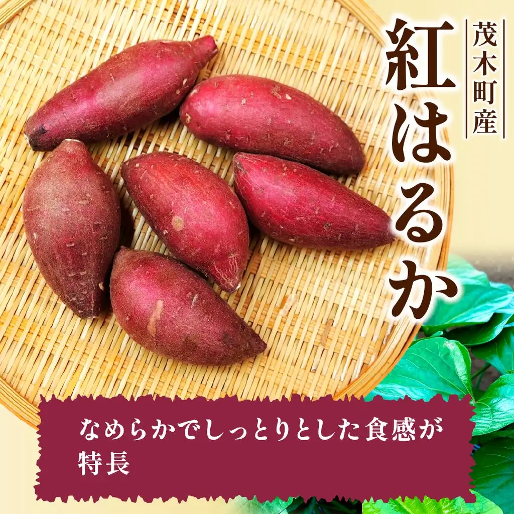 【先行受付】訳あり 紅はるか 無選別 約5kg 栃木県 茂木町