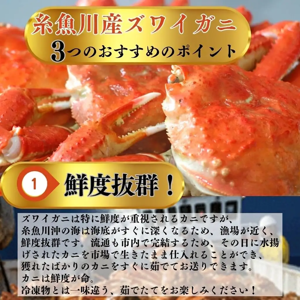 〈期間限定〉本ズワイガニ 800g以上×1杯 姿 茹で蟹 糸魚川産 鮮度が命！茹でたて直送 ずわいがに かに 蟹 ヒスイ水産 国産 日本海 新潟 新鮮 タグ付き 11月から漁開始 ギフトにも おススメ カニ ヒスイ蟹 カニ