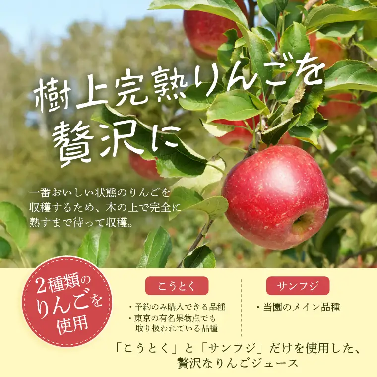 樹上完熟 奥久慈りんごジュース 500ml×2本セット【三村観光りんご園】｜茨城県 大子町 完熟 林檎 こうとく サンフジ ブレンド リンゴジュース アップルジュース 100％ ストレート 無添加 ギフト 飲料(BX013)