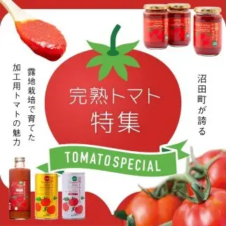 【定期便】プレミアムトマトケチャップ （320g瓶×2本×3ヶ月）北海道産 トマト 国産 無添加 濃厚 食べるケチャップ 高級調味料 調味料 加工品 お取り寄せ ギフト プレゼント 贈り物 沼田町 北海道 n-0228