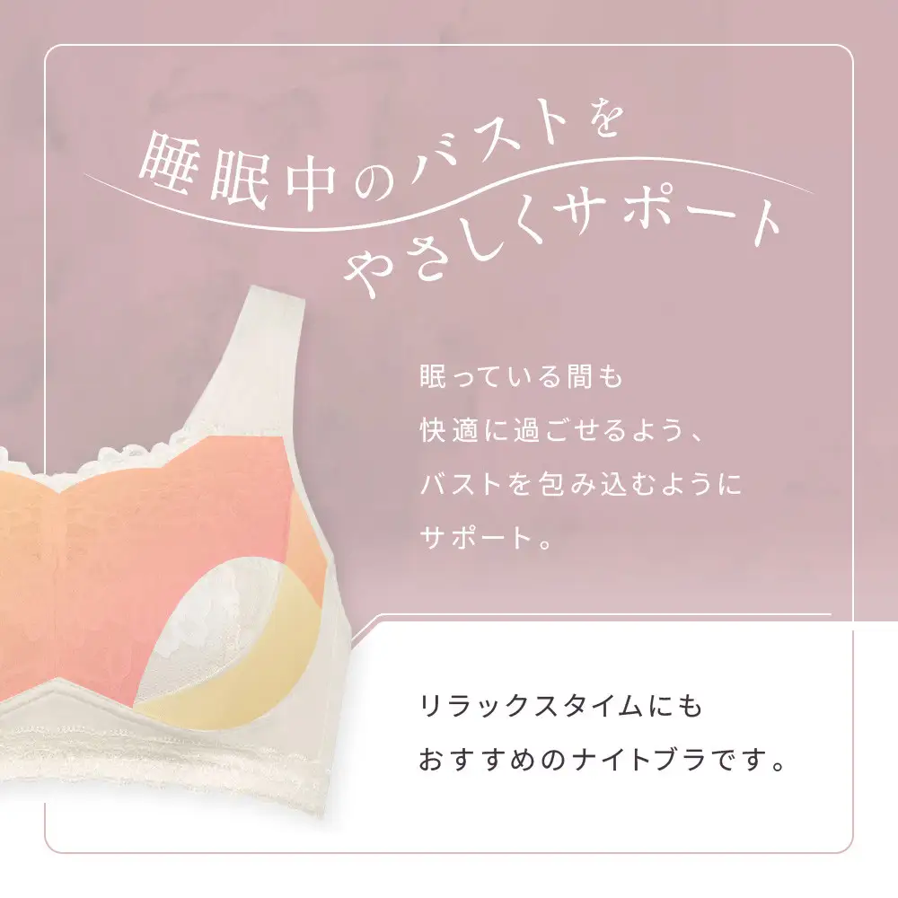 ワコール ナイトアップブラ Lサイズ BL ナイトブラ 京都