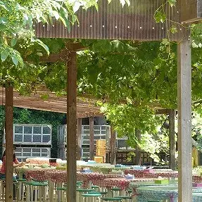 タカミメロン 食べ放題 （30分） ＆ お持ち帰り メロン 2玉 2名様分 メロン狩り 入場券 チケット ペアチケット イベント