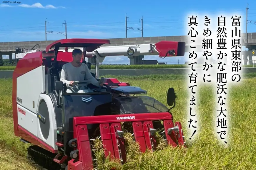 米 令和8年産 こしひかり 玄米 10kg 【6ヶ月定期便】 計60kg