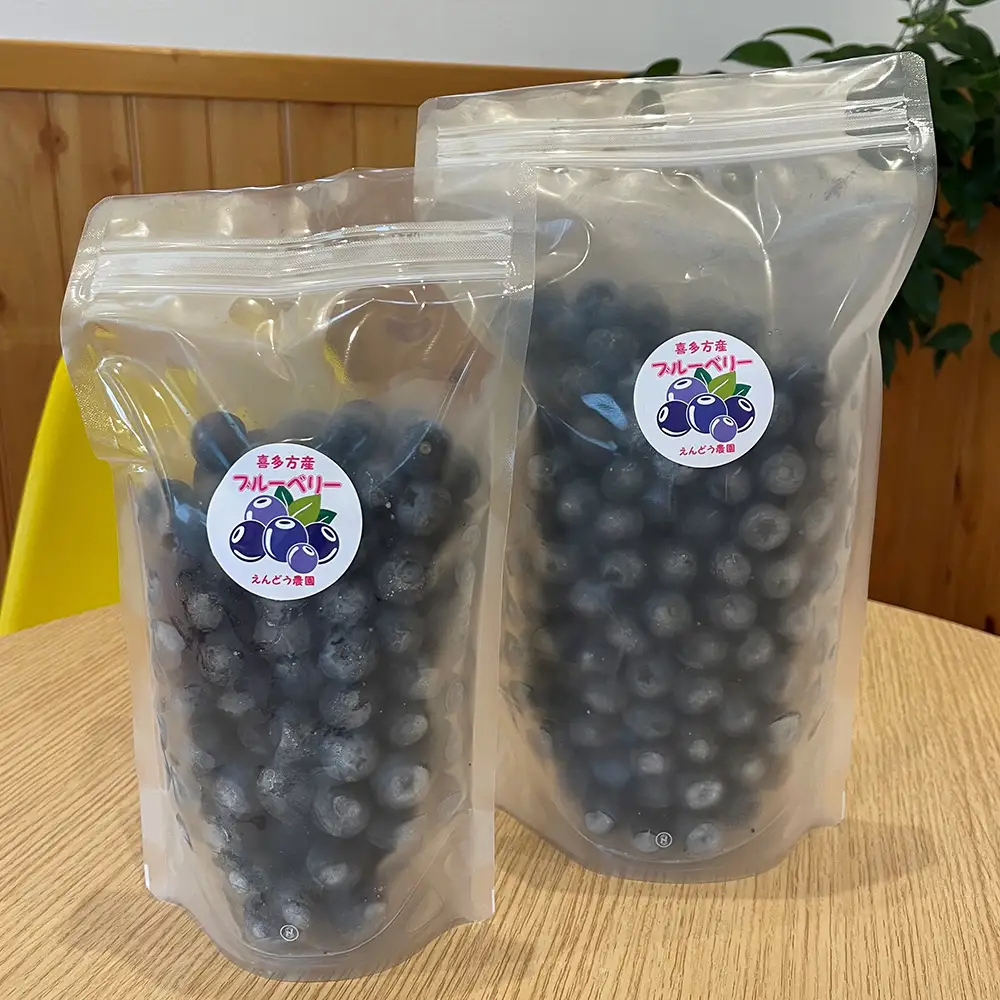 【冷凍】喜多方市産ブルーベリー　1kg(500g×2袋)　【07208-1041】