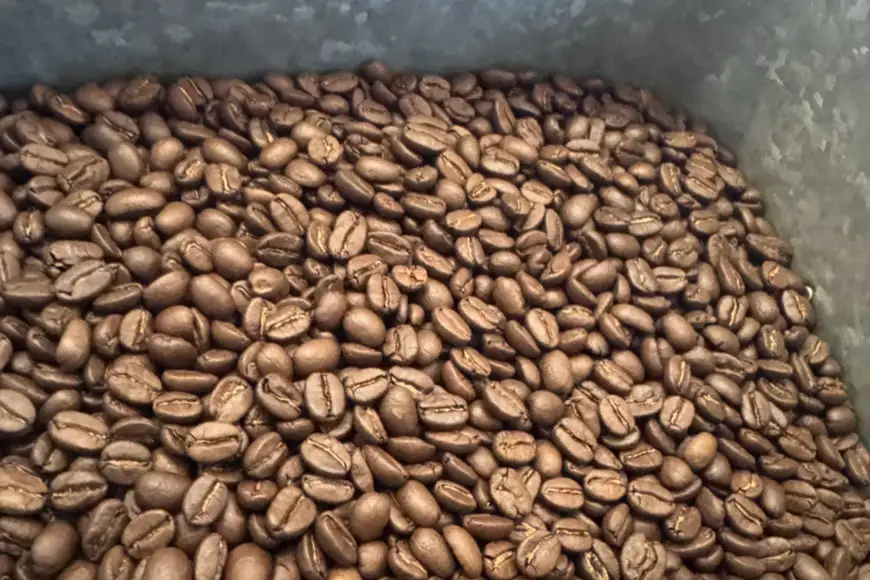 コーヒー マイルドブレンド クラムボンブレンド 各200g 2パック