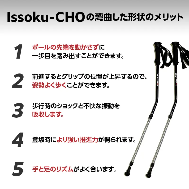 ウォーキングポール Issoku-CHO（1足長） ブラックシルバー 2本1セット  R17033