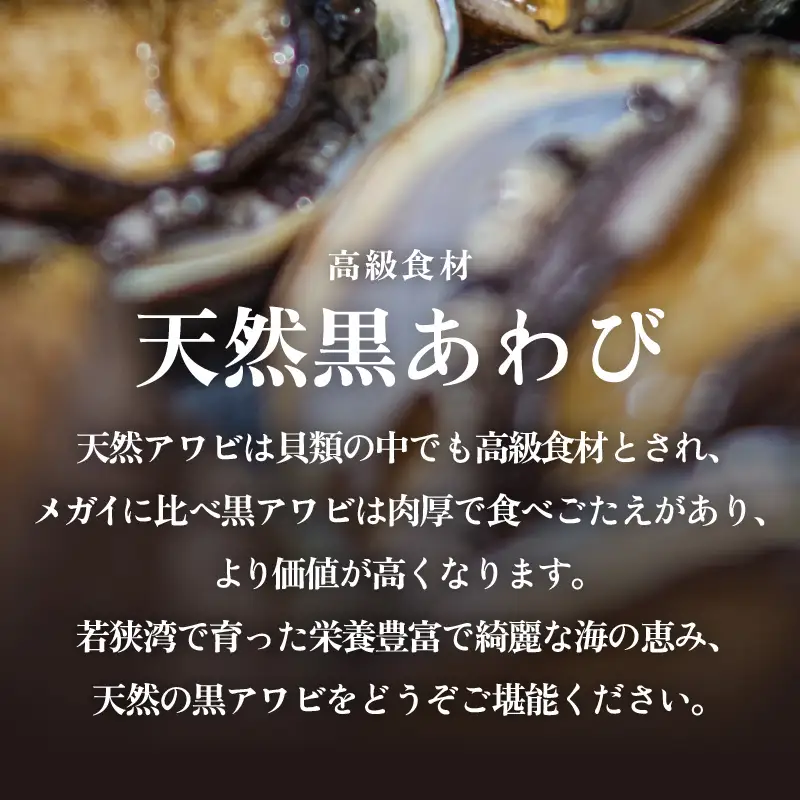 【訳あり】【天然・冷凍】日本海 若狭湾の黒アワビ 約700g（2～3個）【加熱用】【アワビ あわび】 [m17-d011]