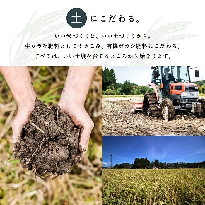 【3回定期便】令和8年産 新米 コシヒカリ 山里清流米  玄米 10kg ( 5kg × 2袋 ) × 3回 ジャパンファーム
