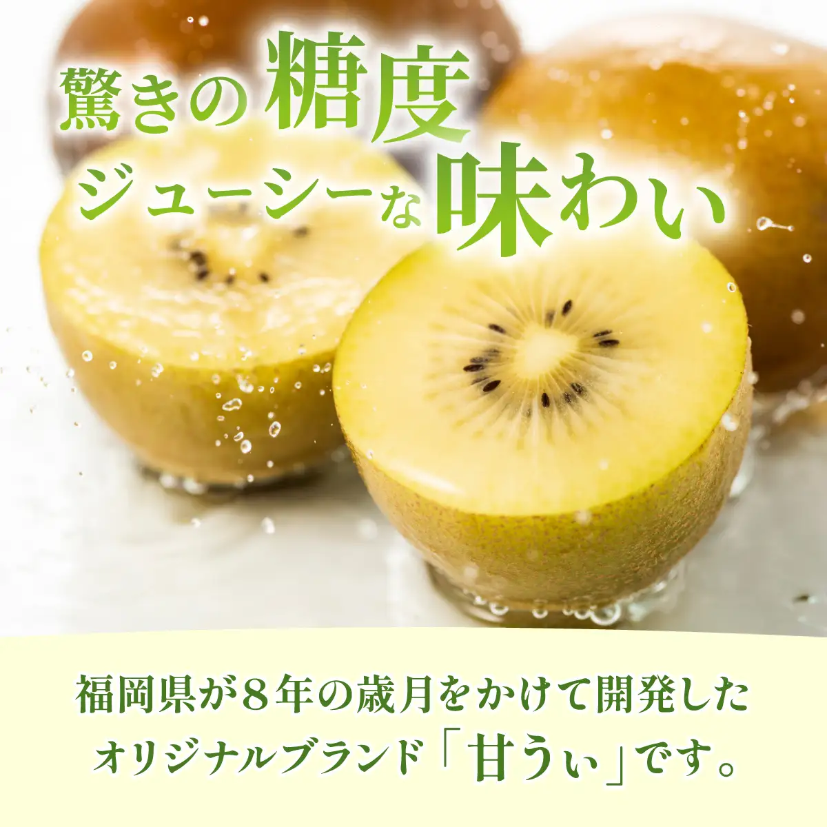 福岡産ブランド キウイ 甘うぃ 約3kg（10月下旬より発送）