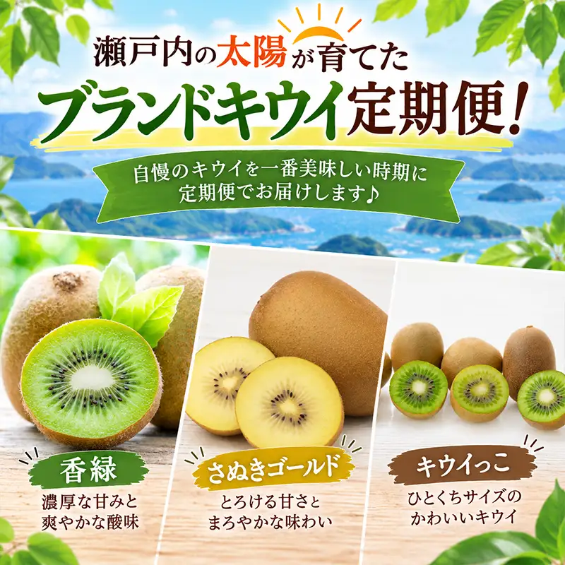キウイ 定期便3回 ゴールド キウイ