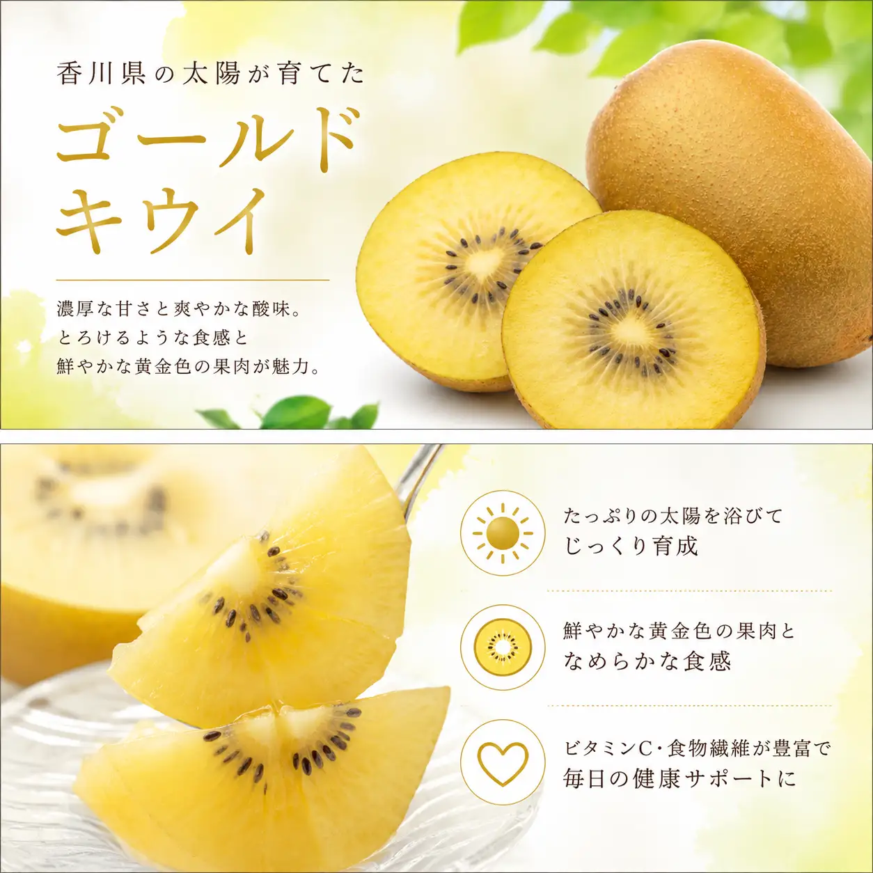 フルーツ 定期便 3回 キウイ ゴールドキウイ