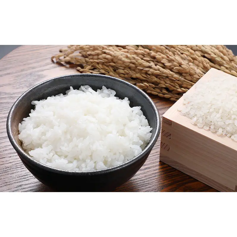 令和8年度産米 元気つくし 5kg  福岡県朝倉産 白米 精米 お米
