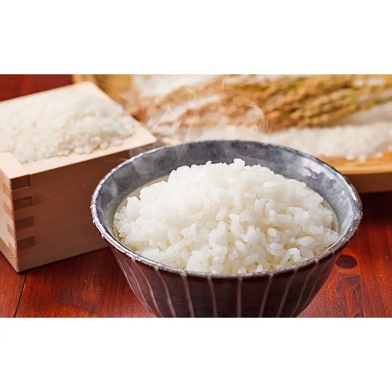 令和8年度産米 定期便 6ヶ月 にこまる 5kg 福岡県朝倉産 白米 精米 お米