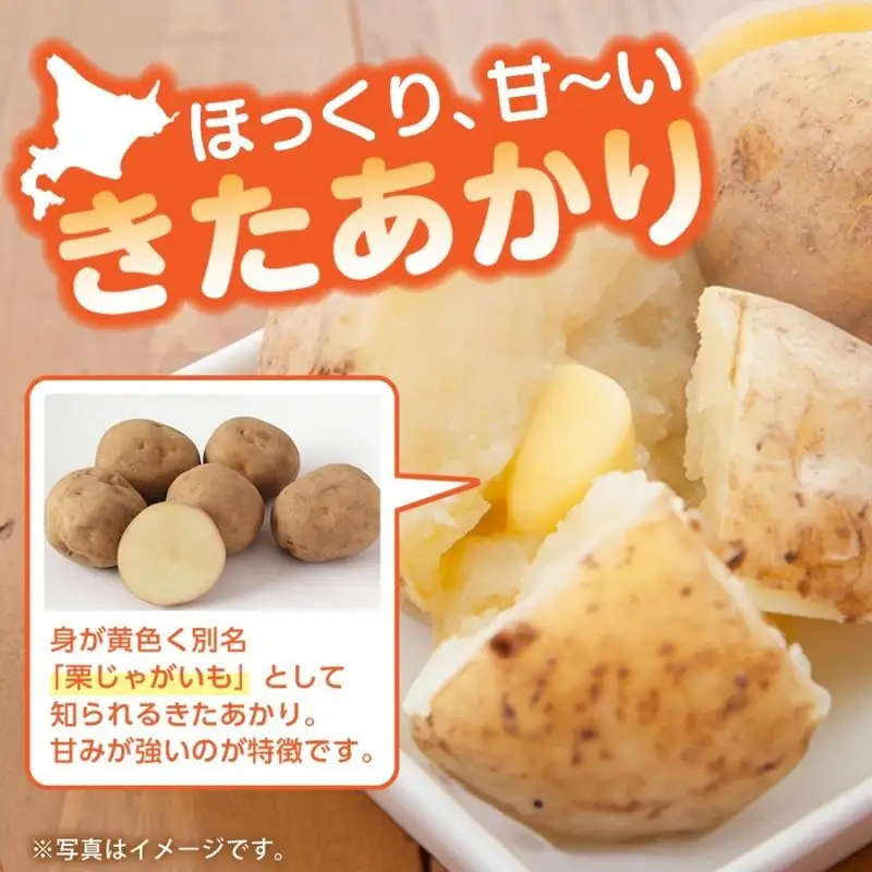 北海道産 訳あり じゃがいも きたあかり 約9.3kg 不揃い サイズ不選別 ジャガイモ 馬鈴薯 ポテト キタアカリ 芋 旬 冬 農作物 訳アリ 規格外 家庭用 北海道 お取り寄せ 産地直送 笠井ファーム 送料無料 幌加内