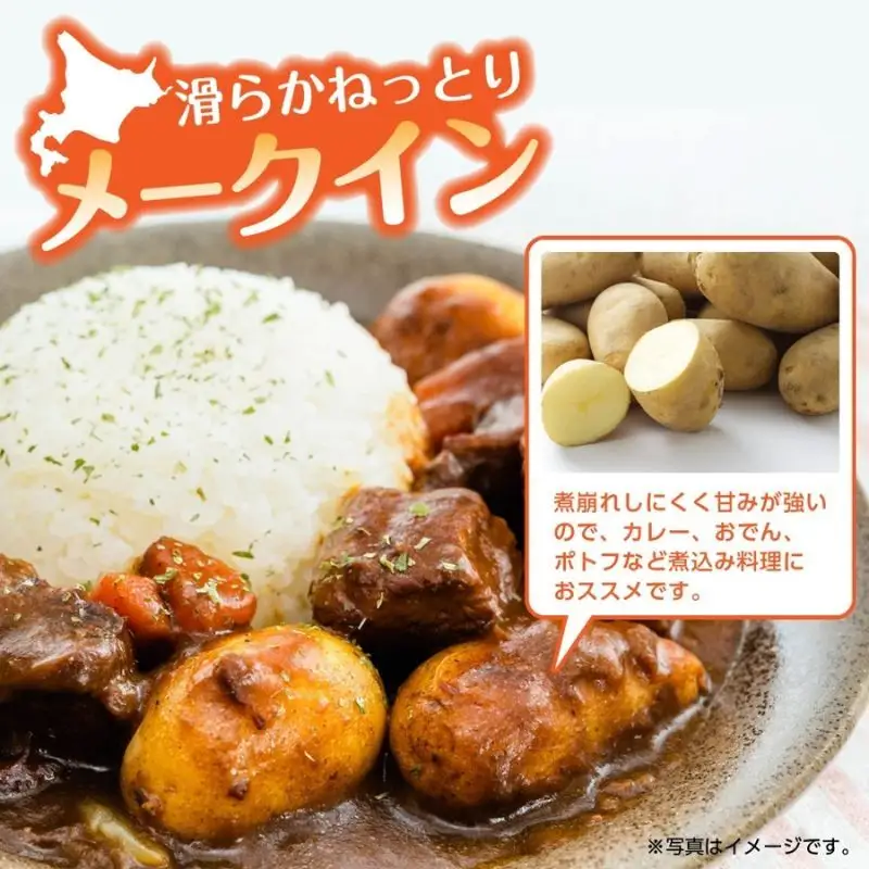 北海道産 訳あり じゃがいも メークイン 約9.3kg 不揃い サイズ不選別 ジャガイモ 馬鈴薯 ポテト 芋 いも イモ 旬 冬 農作物 訳アリ 規格外 家庭用 北海道 お取り寄せ 産地直送 笠井ファーム 送料無料 幌加内