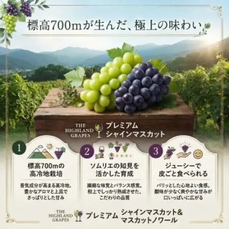 ソムリエが育てたシャインマスカットとマスカットノワール計1.0kg以上【配送不可地域：離島】【1789223】