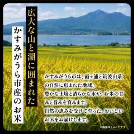 【毎月定期便】コシヒカリ 精米 10kg | こしひかり 茨城県かすみがうら市全6回【4094325】