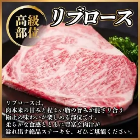 飛騨牛 リブロースステーキ 約1kg【配送不可地域：離島】【1789129】