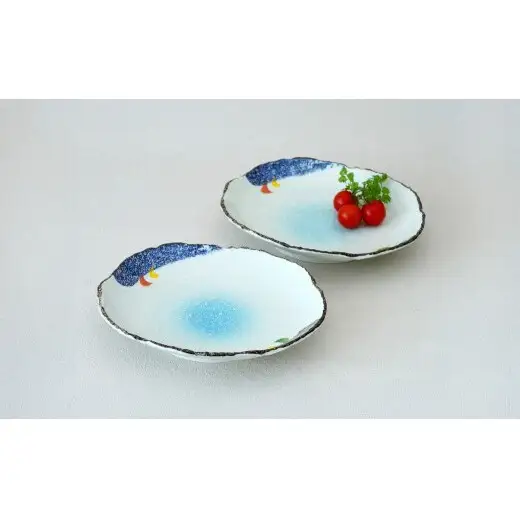 有田焼  楕円多用皿（舞） 2枚組【マルコウ陶苑】食器 器 うつわ セット 食器セット 和食器 プレゼント 贈り物 ギフト dg007