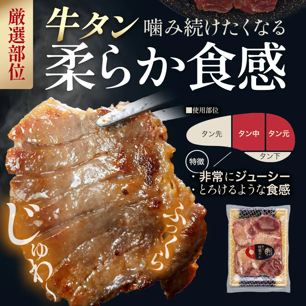 お試しサイズ！厚切り牛たん（特製タレ）・JAPAN X豚肉　全3種セット　【04301-1101】
