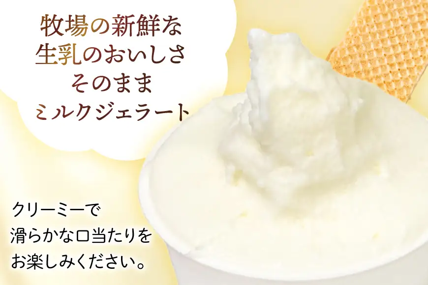アイス ジェラート ピュアミルク 2L
