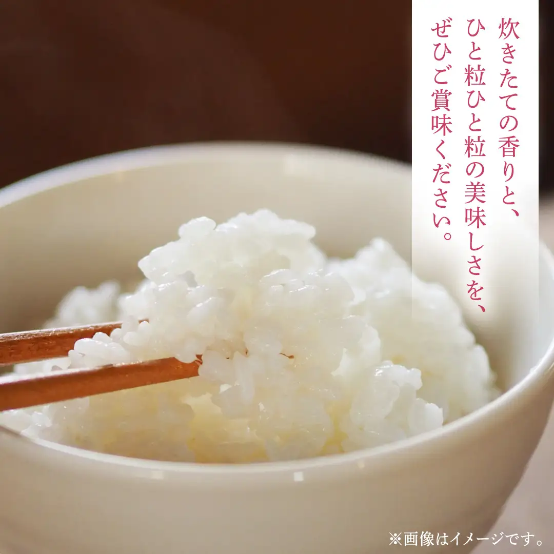 【 新米 】9回 定期便 令和8年産 ひとめぼれ 5kg 精米 計 45kg [AO010]
