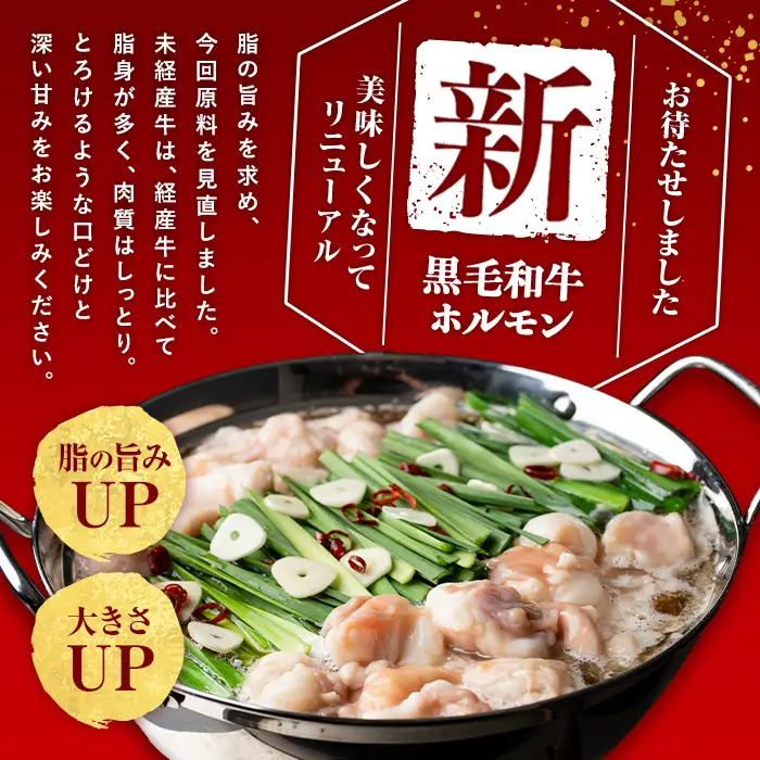 国産黒毛和牛ホルモン もつ鍋セット【醤油味】(2～3人前) 黒毛和牛 肉 牛肉 国産 もつ鍋 モツ鍋 ホルモン タレ 鍋 焼肉 バーべキュー 小分け p9-055