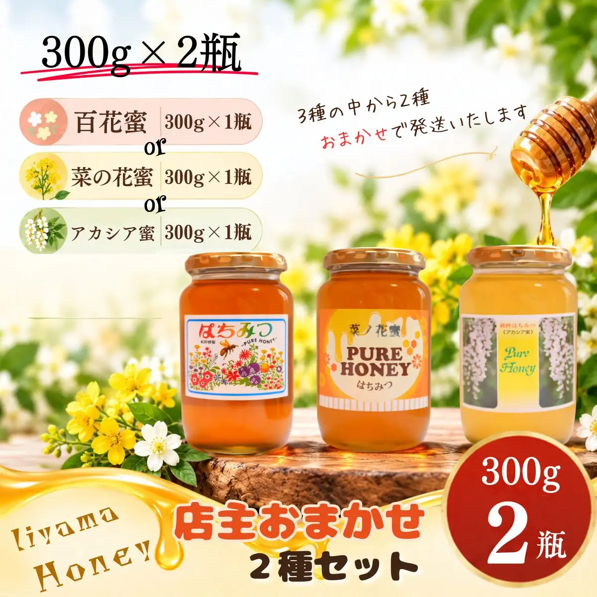 国産 天然 はちみつ 店主おまかせ 300g 2種セット 《百花蜜・菜の花蜜・アカシア蜜より2種》 芳川養蜂場