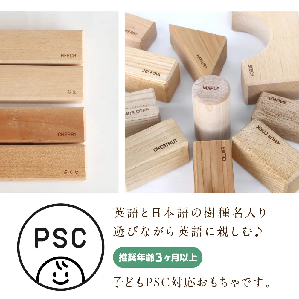 寄木の積木 English  | 積み木 つみき おもちゃ 玩具 木製 飛騨高山 国産 プレゼント 日本製 子供PSC対応 オークヴィレッジ AH327