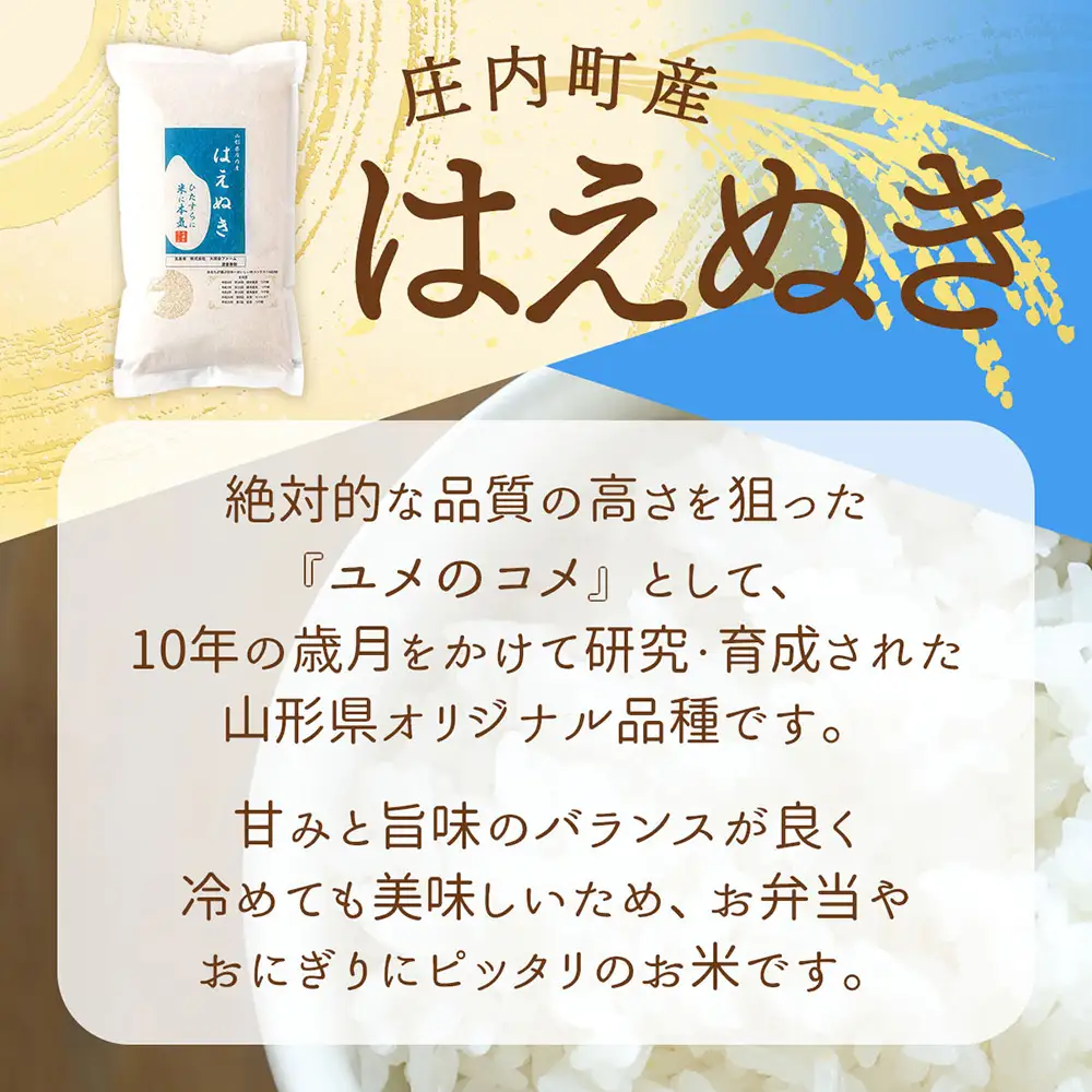 【令和8年産】渡會さんのうまい米 はえぬき 2kg 2kg×1袋 優秀金賞受賞農家 庄内町産 ブランド米 米 国産 単一原料米 山形 庄内平野 山形県庄内