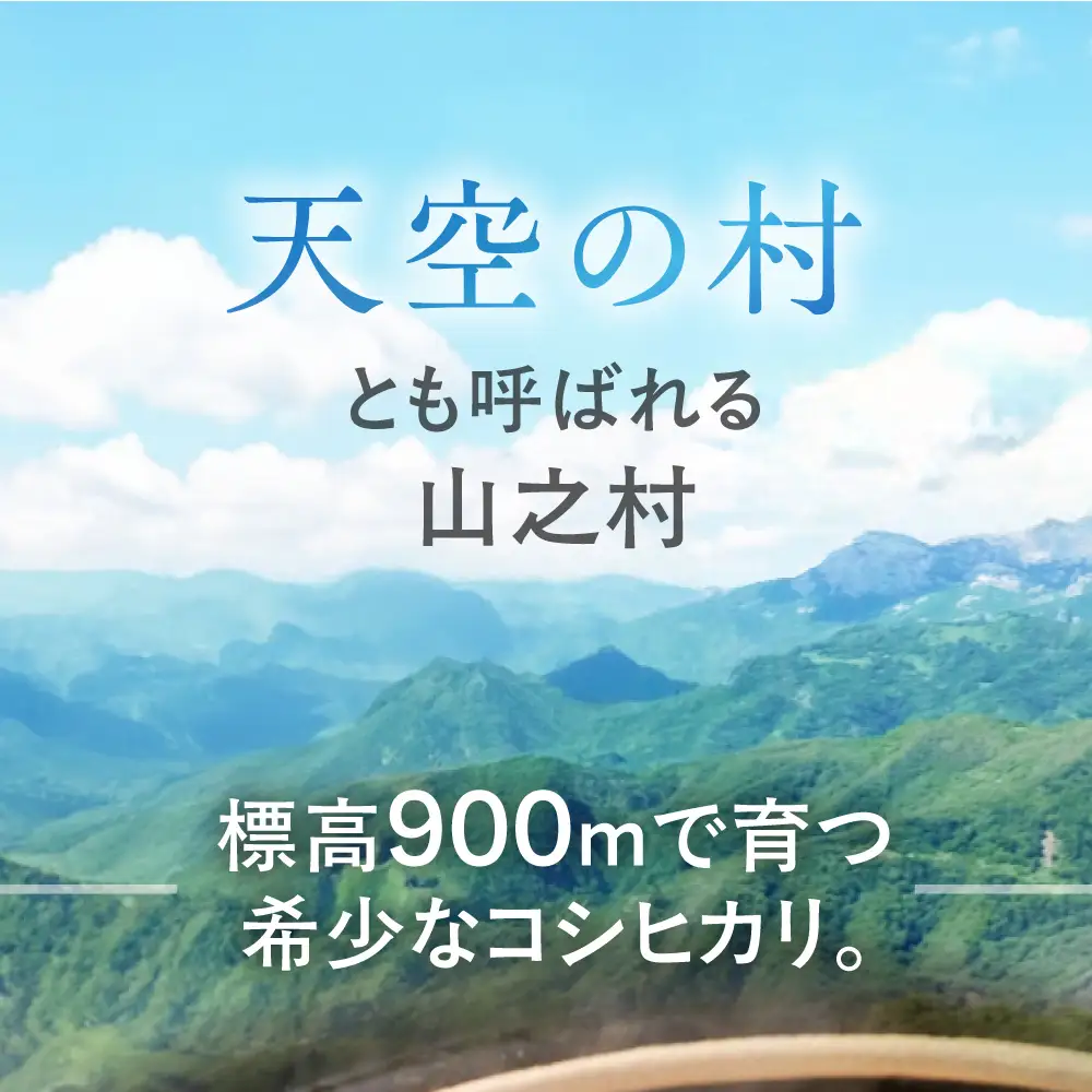 令和8年産 飛騨産 米 コシヒカリ 4.5kg / 米 清水農園