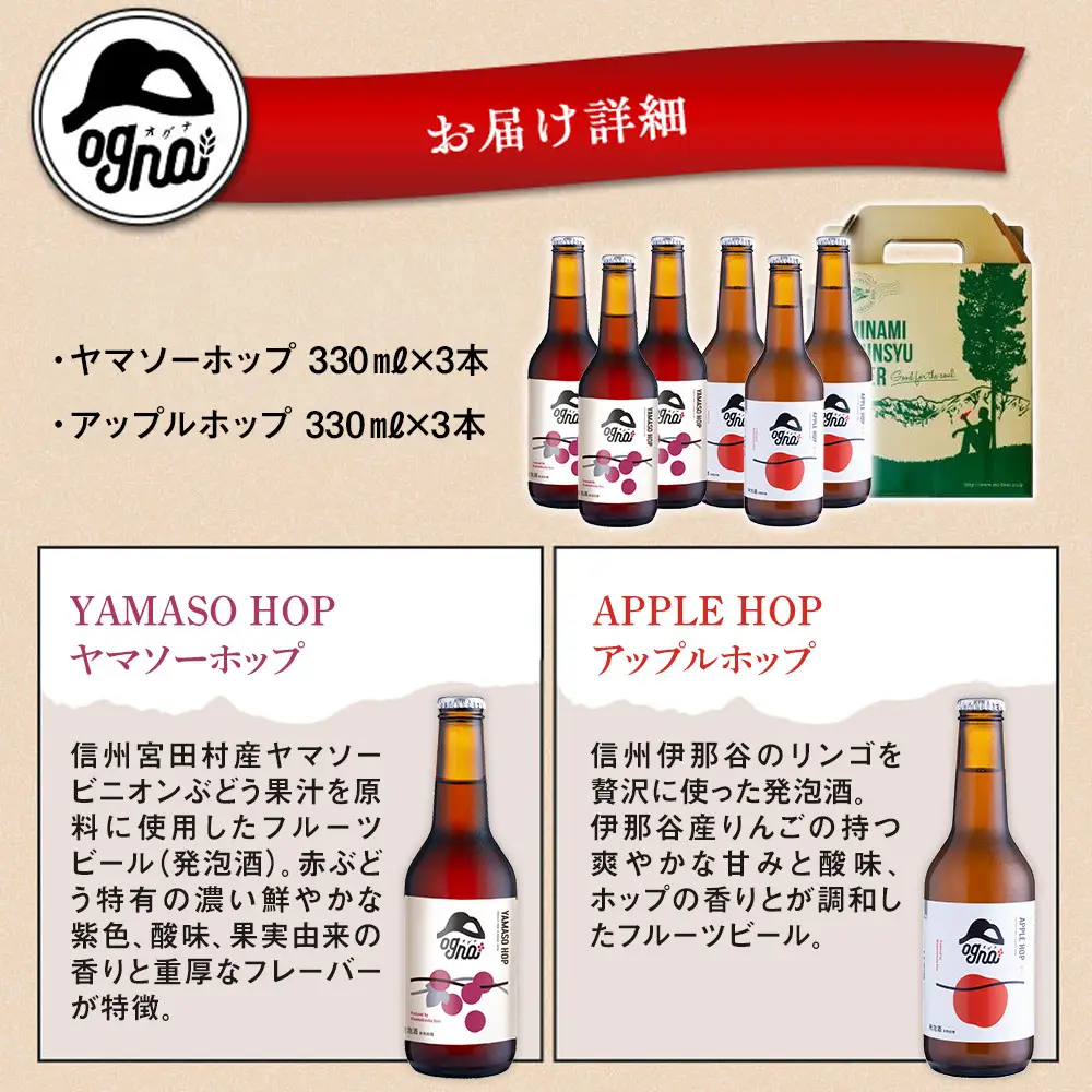 南信州ビール　フルーツビール6本セット
