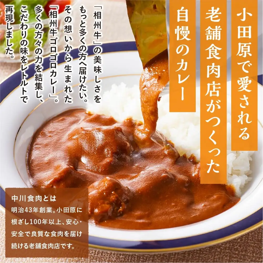 【湘南カレーコンテストグランプリ受賞】相州牛ゴロゴロカレー