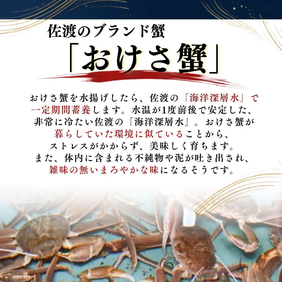 活本ズワイガニ「おけさ蟹」特大サイズ 1尾（1尾あたり約800g）