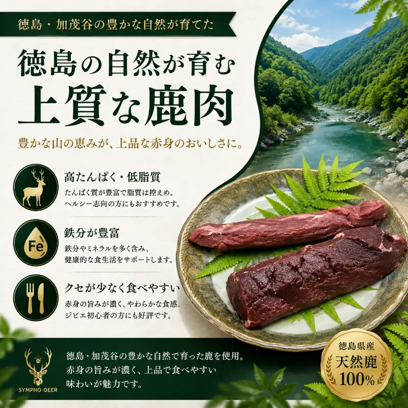鹿肉 ジャーキー 90g