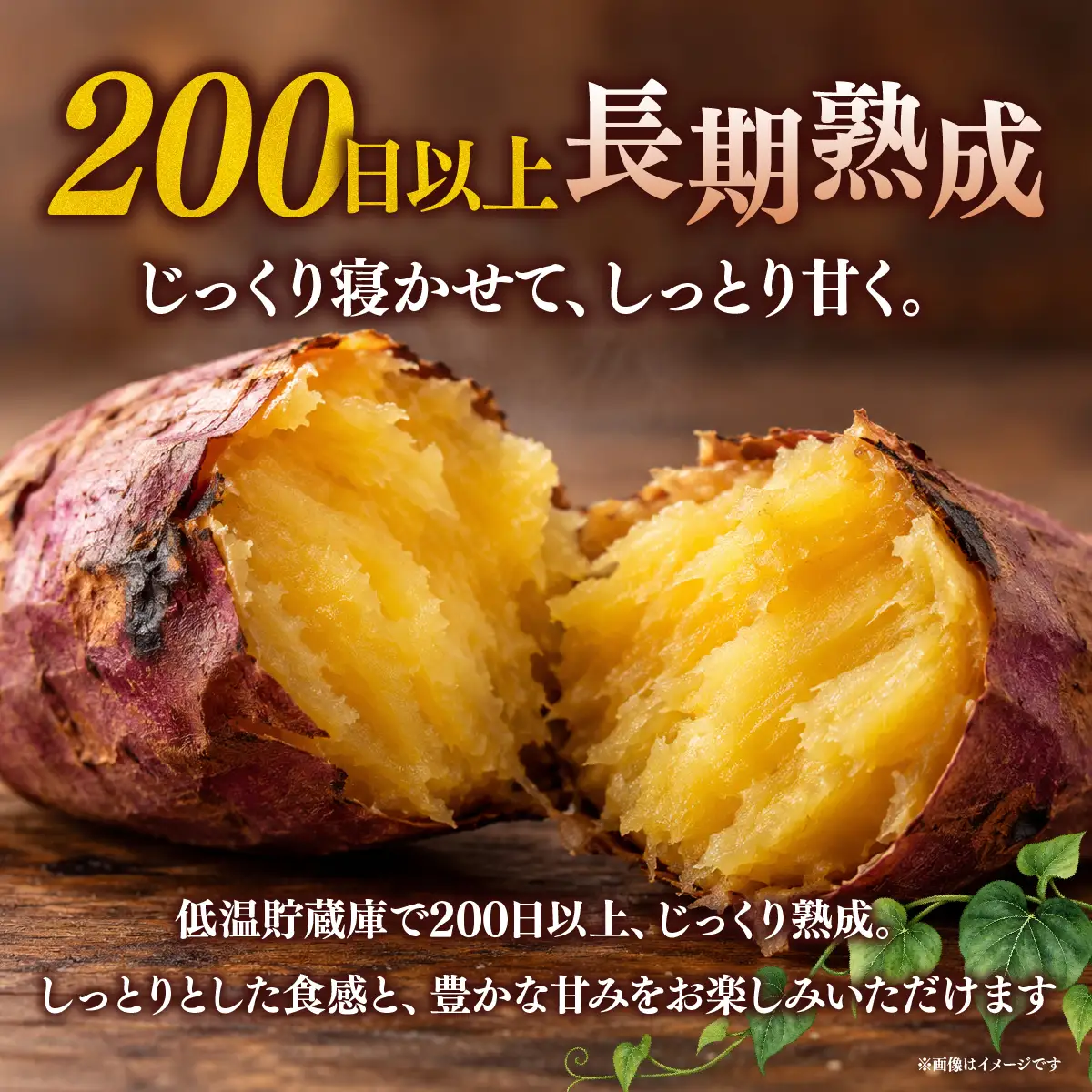 紅はるか【訳あり】長期熟成のさつまいも 10kg 扇屋商店｜紅はるか 国産 サツマイモ