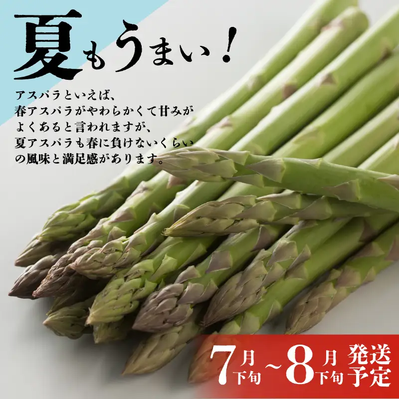 令和9年夏 アスパラガス Lサイズ 1kg 先行予約 アスパラ アスパラ アスパラ 新潟 新発田 坂井ファームフーズ sakai001