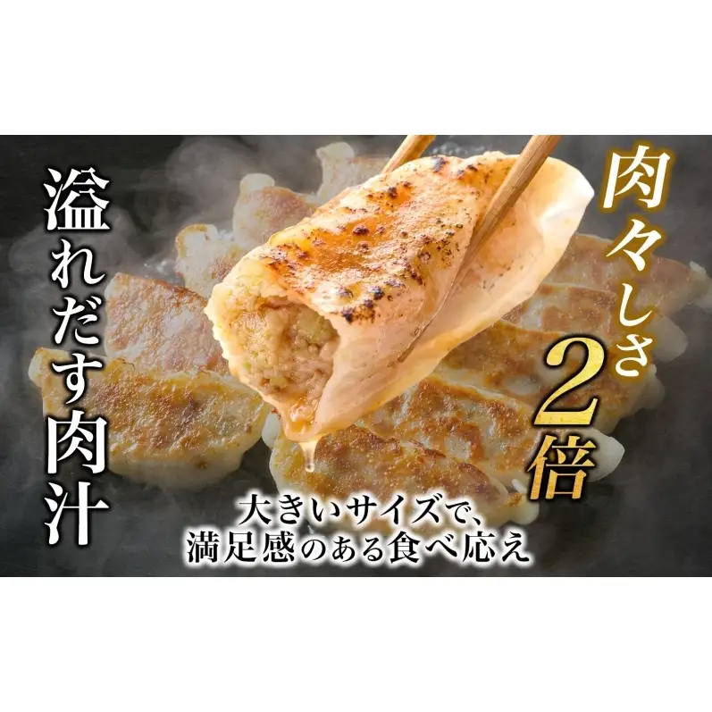 笑顔大吉ポーク 大吉肉餃子 12個入り×5パック 計60個 国産 豚肉 肉餃子 餃子 惣菜 おかず 中華 点心 晩酌 ご飯のお供 手軽 夕食 贈り物 ギフト ご当地 株式会社ヒラノ 千葉県 成田市