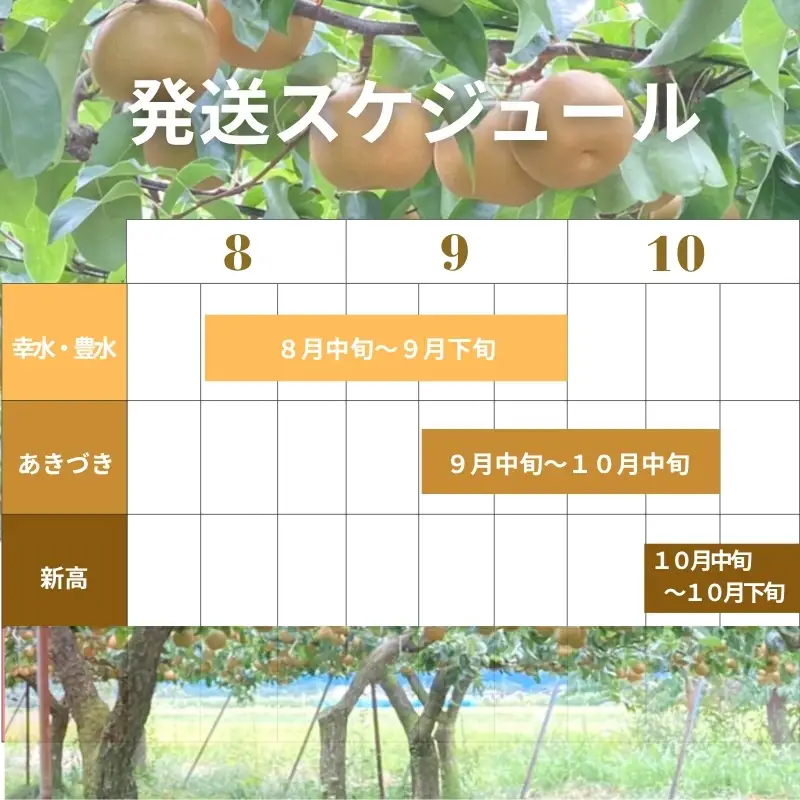 厳選！福島の梨３回定期便_ED-2【2027年発送】No.3498