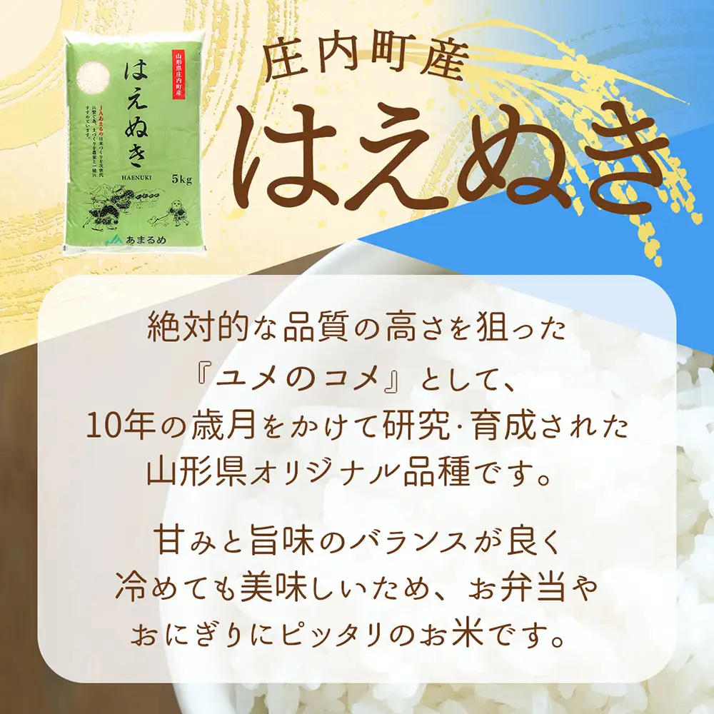 【令和8年産】JAあまるめ はえぬき 5kg 5kg×1袋 庄内町産 山形県 余目産 ブランド米 米 国産 単一原料米 山形 庄内平野 庄内