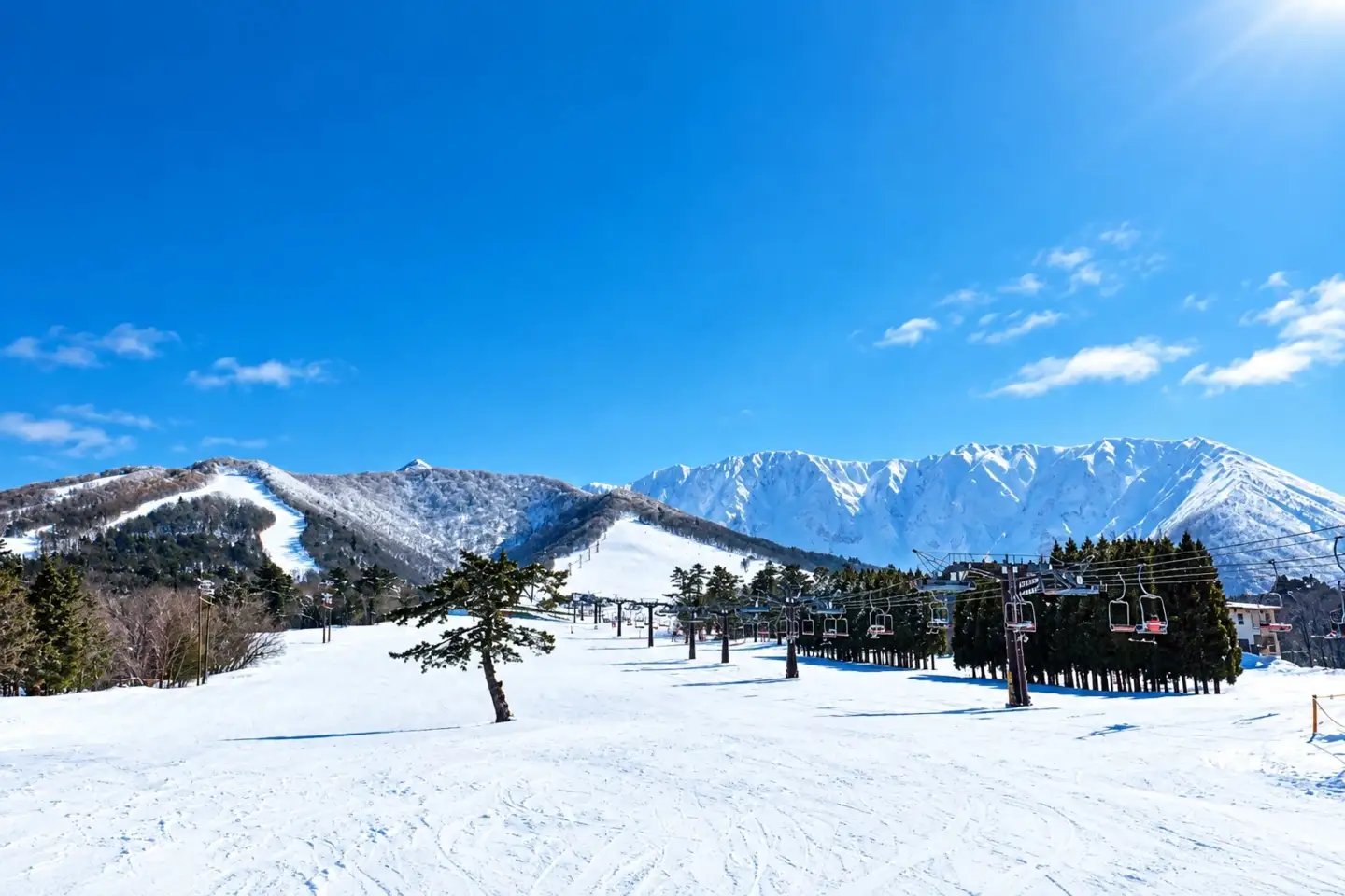 大山マウンテンリゾート　1日リフト券（大人） DM-01