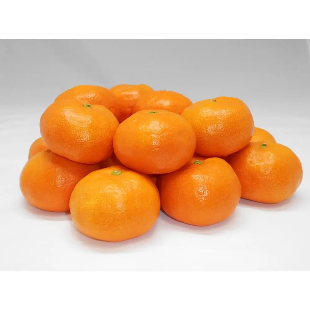 紀州完熟みかん 3kg（M又はL）