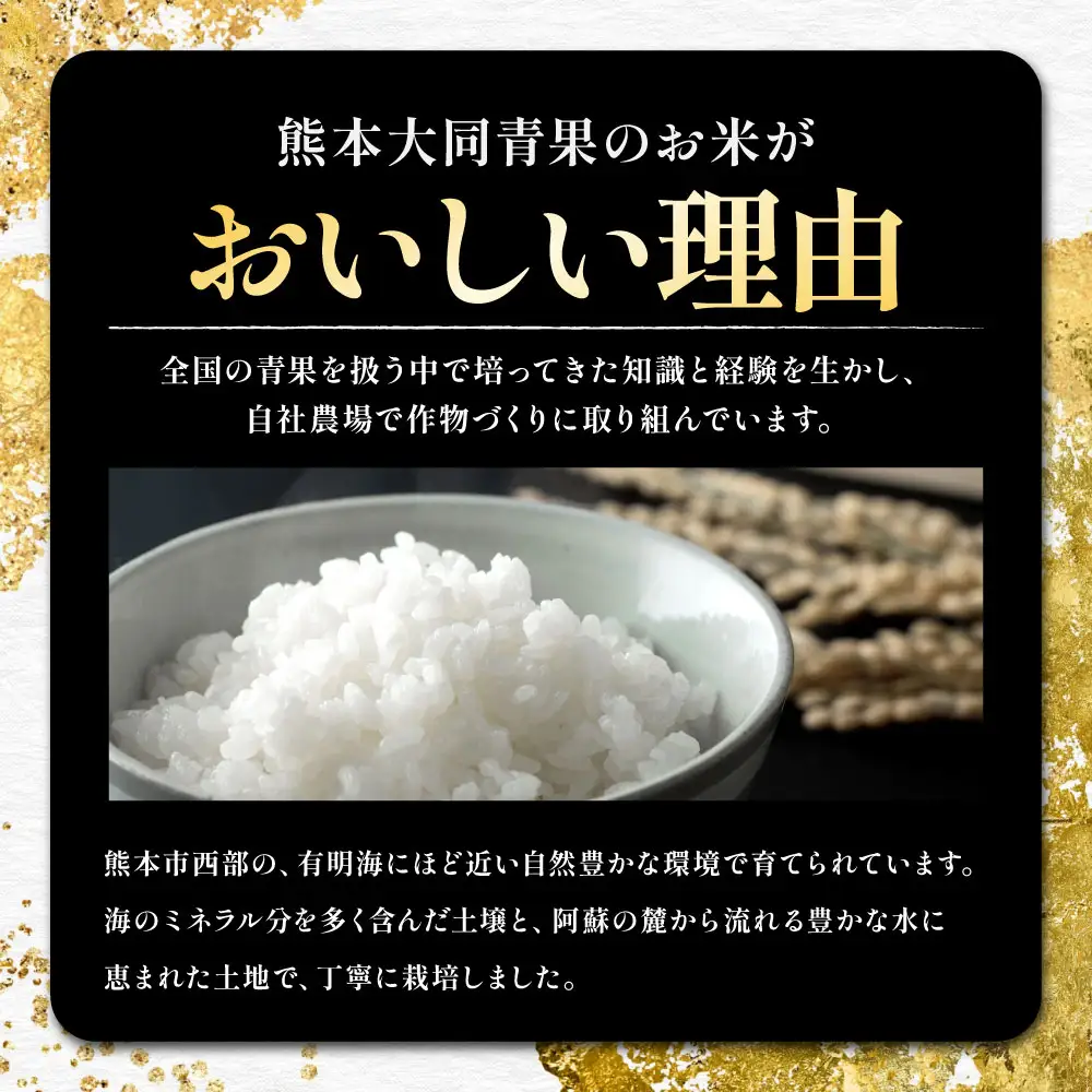令和8年産 ヒノヒカリ 3kg お米 米 白米 白飯 ご飯 おにぎり 和食 ブランド米 国産 熊本県産 【 2026年11月上旬～2026年12月下旬発送予定 】