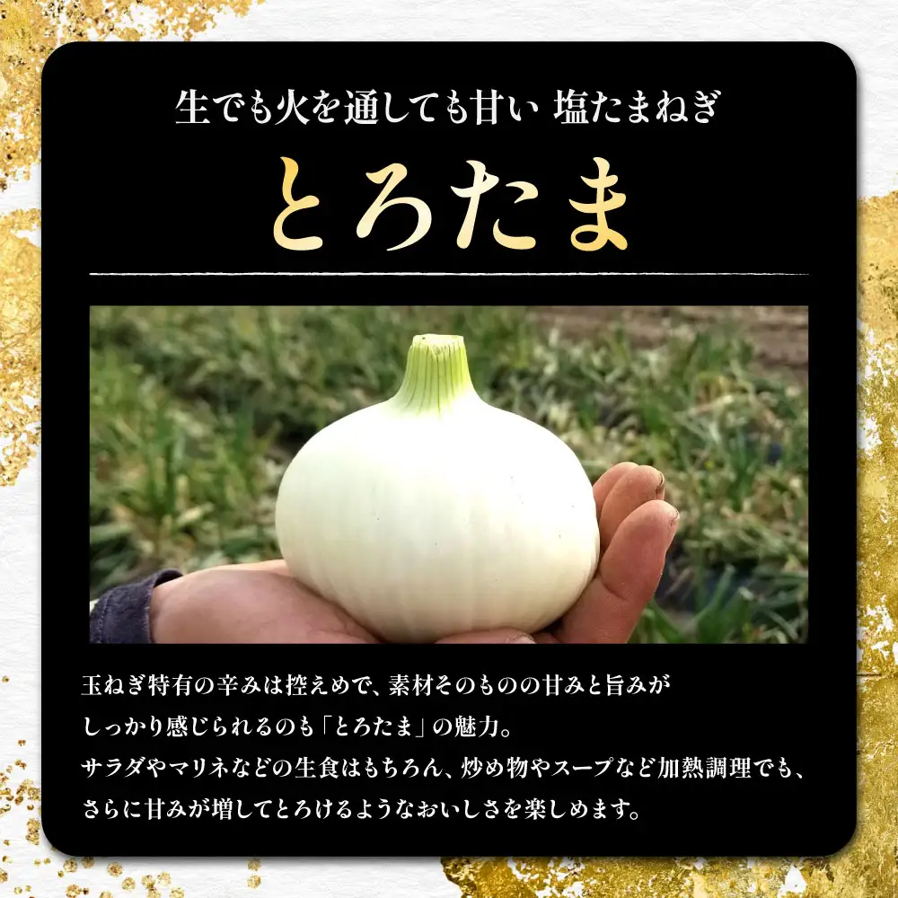 熊本市産 とろたまねぎ 約5kg （ 20玉前後 ） 玉ねぎ 塩玉ねぎ とろたま 野菜 甘み ジューシー 国産 熊本県産 旬の野菜 サラダ マリネ 炒め物 スープ 【 2027年3月下旬～5月下旬発送予定 】