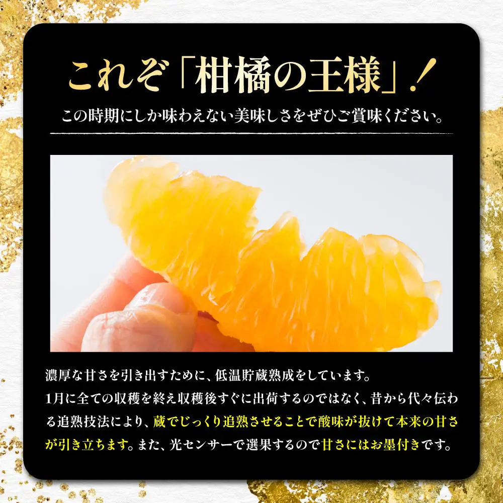 熊本県産 蔵熟デコポン 約5kg （ 18 ～ 24玉 ） 果物 フルーツ 果実 果汁 果肉 国産 柑橘 冷蔵 旬 旬の果物 【 2027年4月上旬～5月上旬発送予定 】