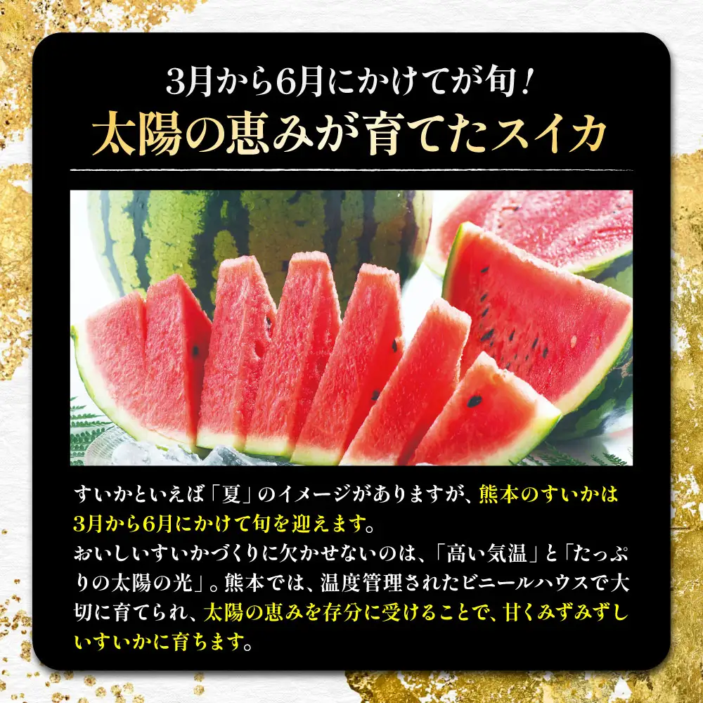 【 3か月定期便 】 熊本 すいか 食べ比べ 定期便 （ 3月 ・ 4月 ・ 5月発送 ） 果物 フルーツ 果実 果汁 果肉 国産 冷蔵 定期 定期配送 旬 旬の果物