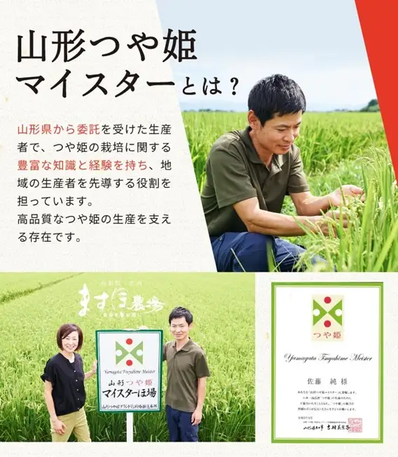 SB1161　1月中旬配送／令和8年産【精米】つや姫マイスターが作った 特別栽培米『つや姫』10kg(5kg×2袋)［減農薬・減化学肥料］ MA